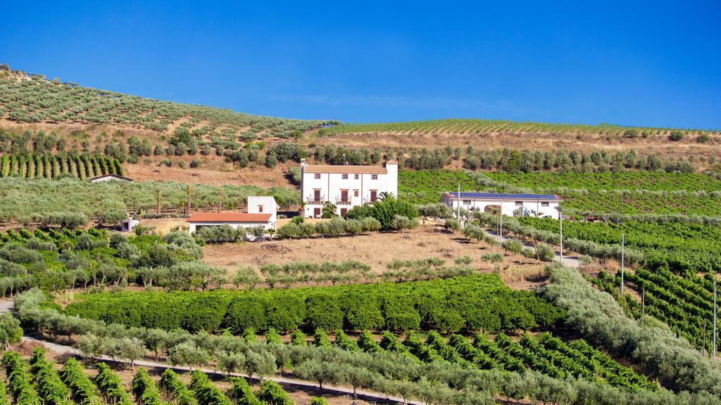 Tenute Piazza Countryhouse Ribera Exterior photo