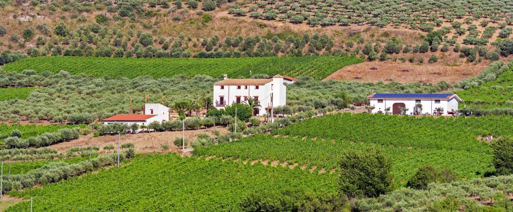 Tenute Piazza Countryhouse Ribera Exterior photo
